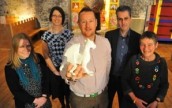 GoGoDragons Launch