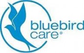 Blue bird white back
