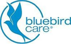 Blue bird white back