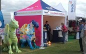 Royal Norfolk Show