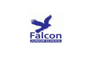falcon WS