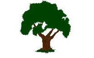 colman infant WS